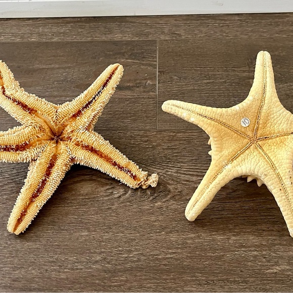 Decorative Starfish Set with Pink Accent - Picture 9 of 13